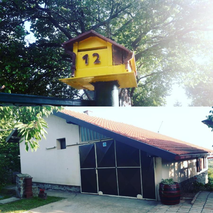 Apartment Noletov Vidikovac Vrdnik Exterior foto