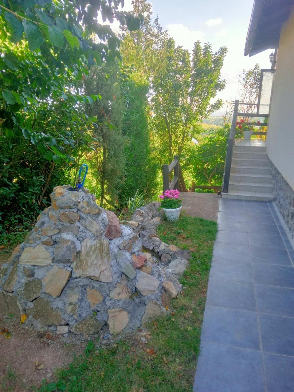 Apartment Noletov Vidikovac Vrdnik Exterior foto