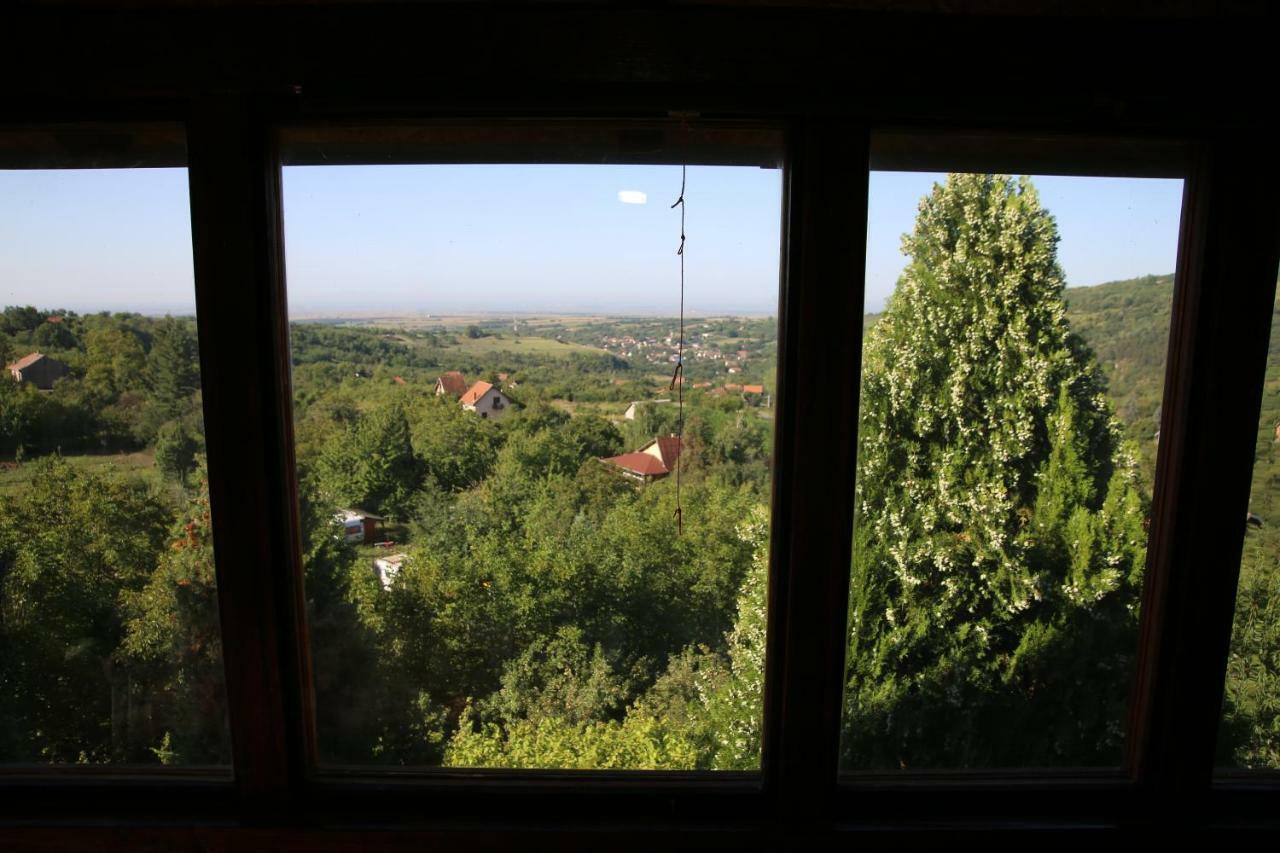 Apartment Noletov Vidikovac Vrdnik Exterior foto